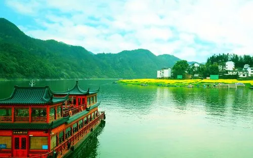创新独特高端